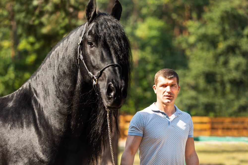 Фризские лошади большой выбор в Украине