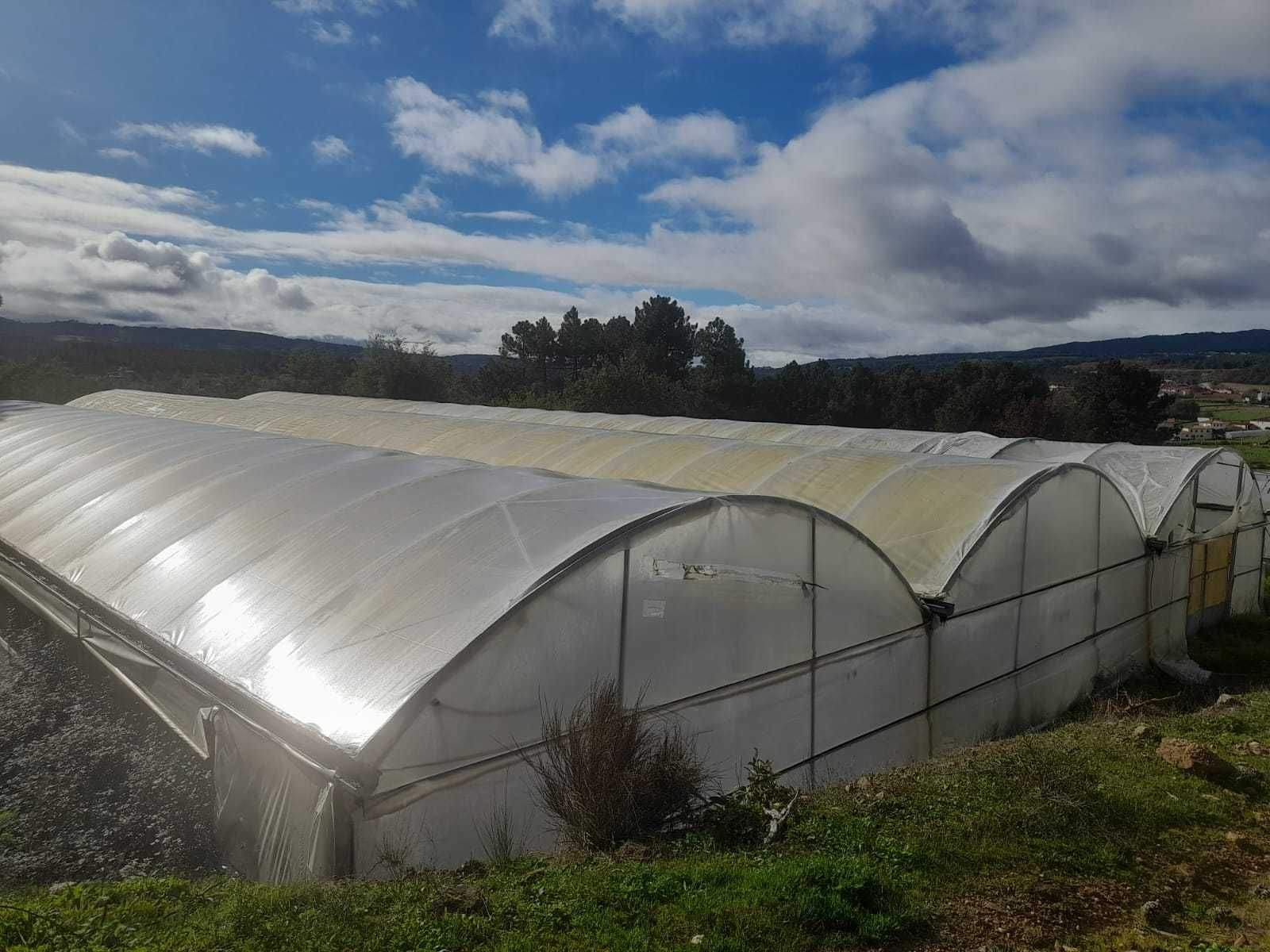 Estufa agricola com 2000 m2