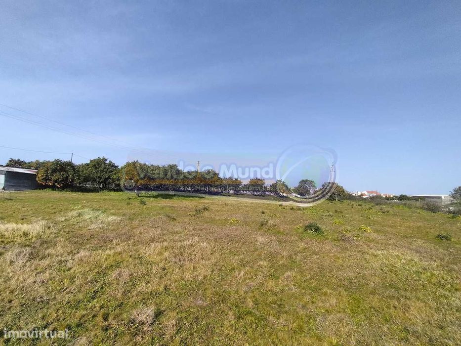 Terreno em Benavente (B446)