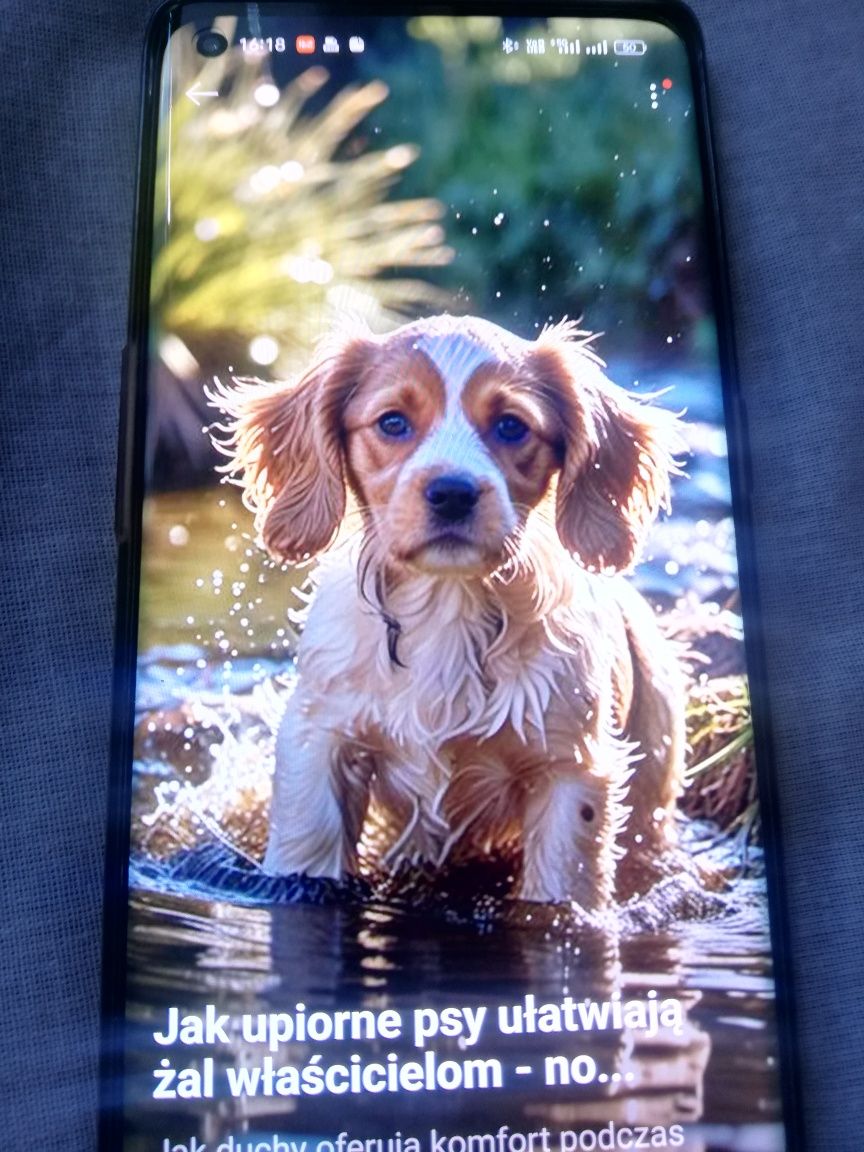 Oppo find X3 neo 12/256