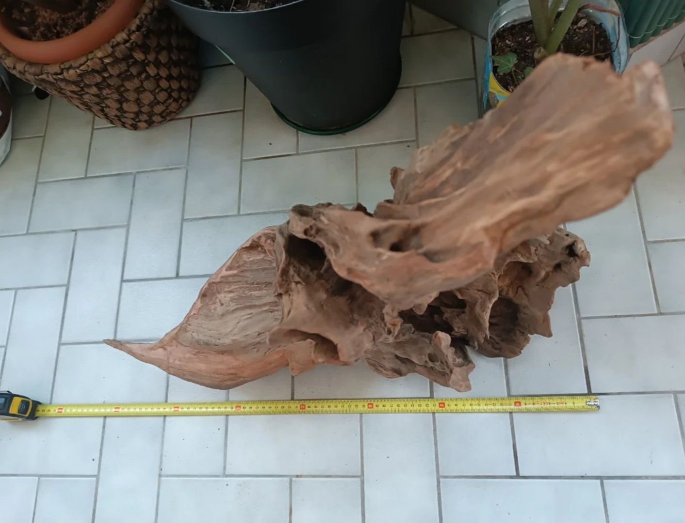 Tronco de aquário