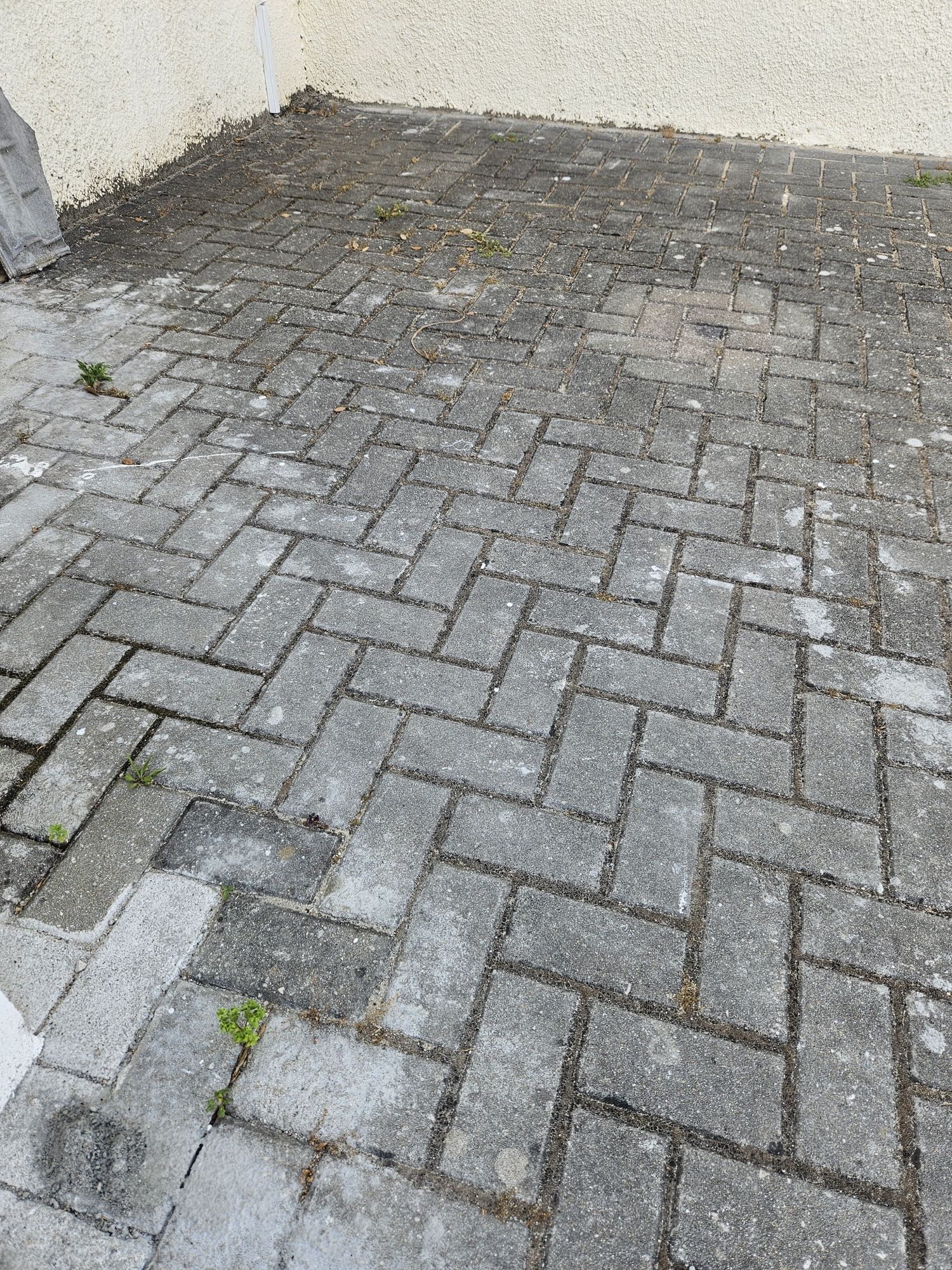 Pavês bloco pavimento 50m2