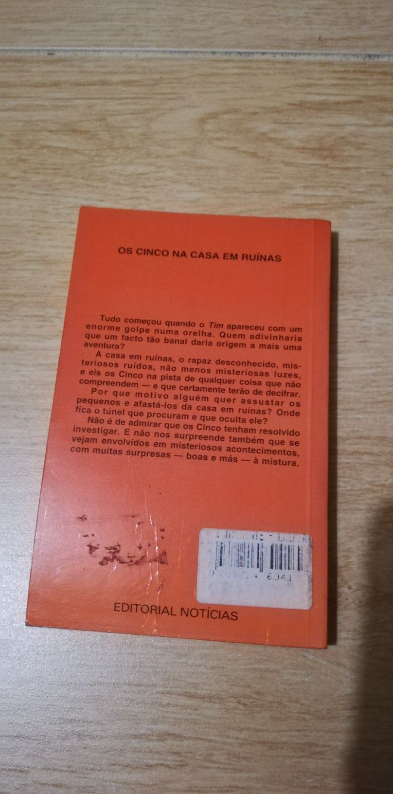 Os cinco na casa em ruínas