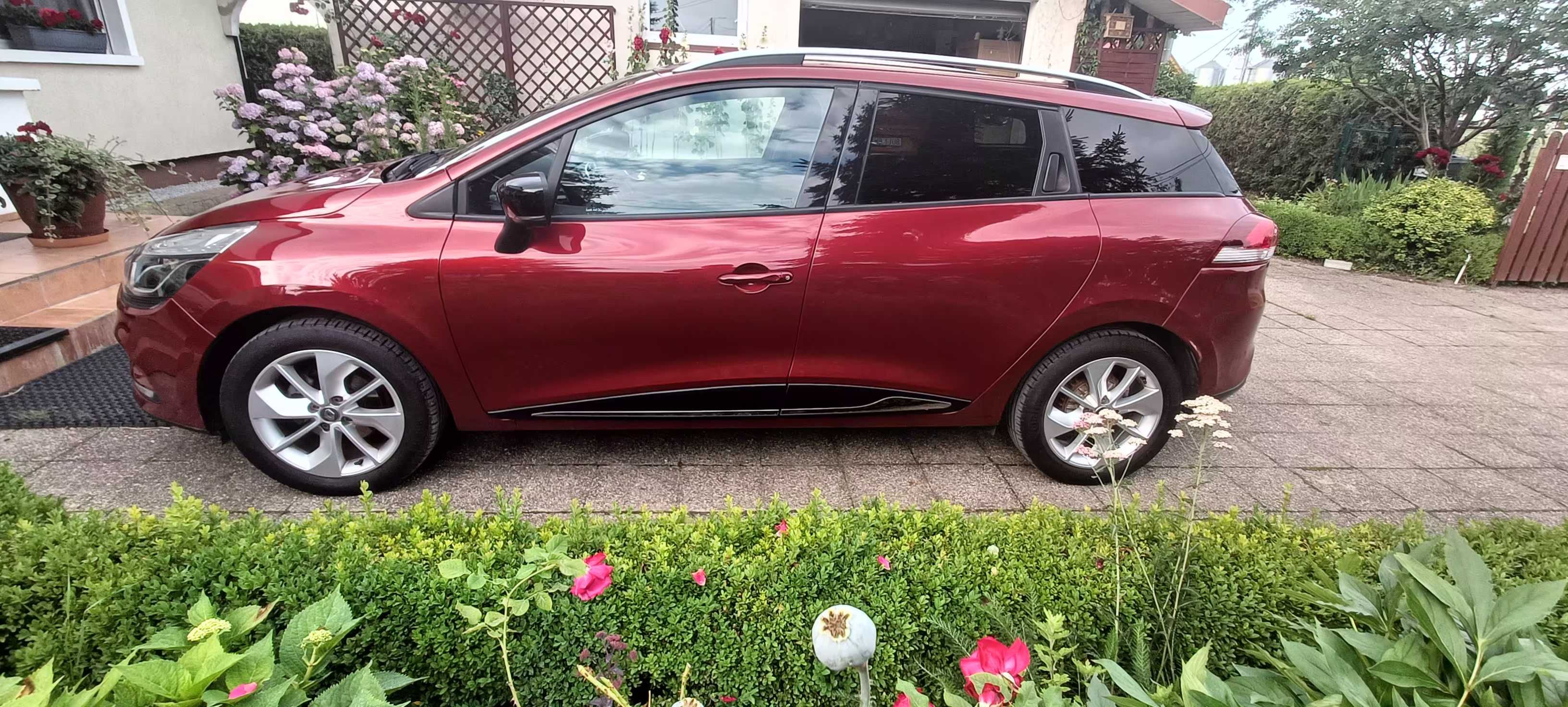 Renault Clio super stan