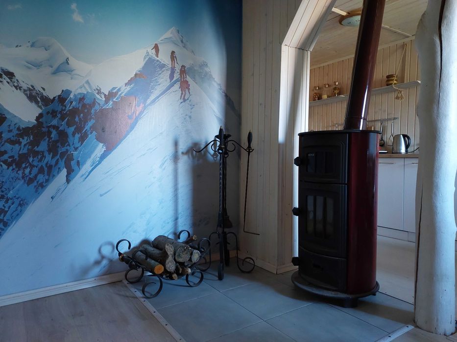 Котедж, будинок в Карпатах Татарів 2-6 осіб