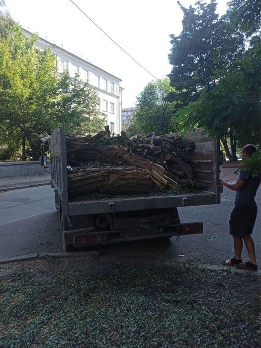 Вивіз БудСміття Гілок Листя Будівельне Вывоз СтройМусора Строительный