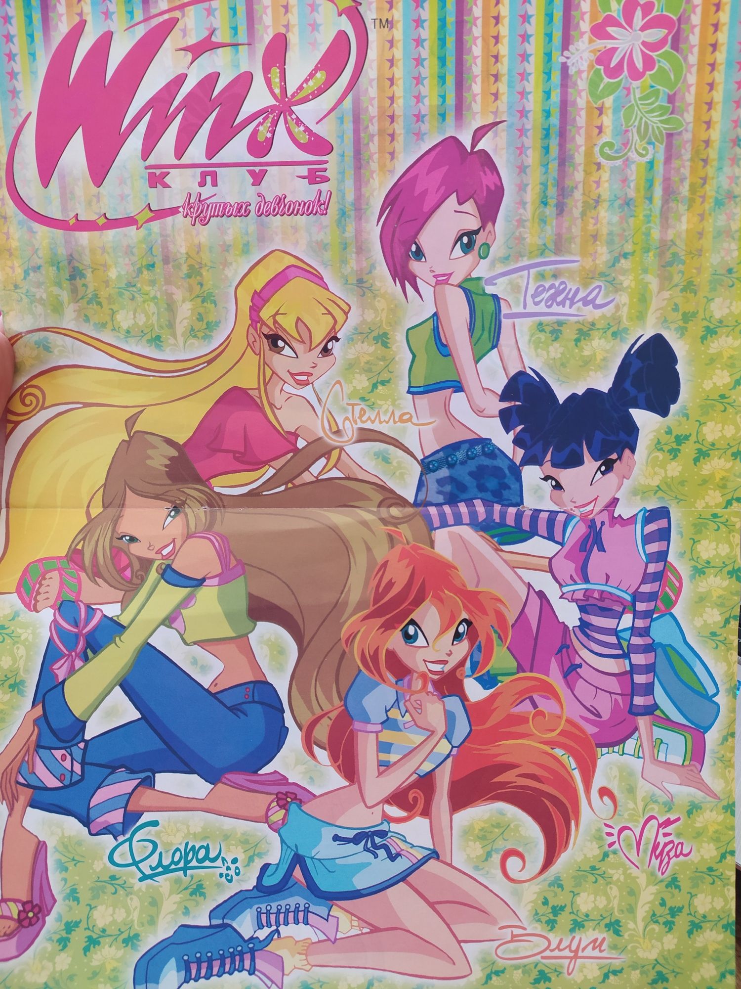 Постери Вінкс/Винкс/Winx