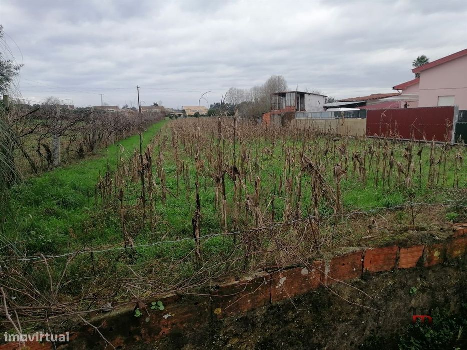 Terreno Para Construção  Venda em Ovar, São João, Arada e São Vicente