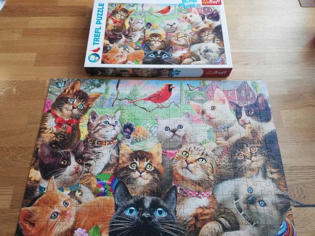 Puzzle koty dla dzieci