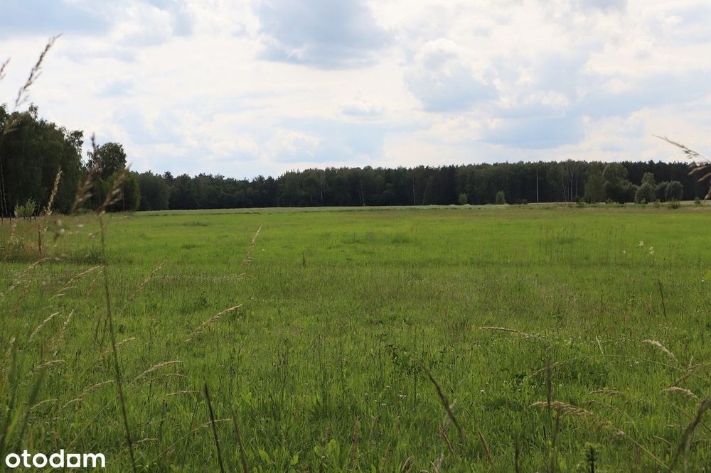 Działki Siedliskowe w Czepielinie-Kolonii, Gmina Mordy