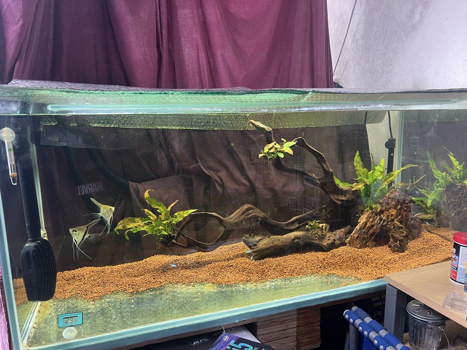 Vendo ou troco aquario 1.20x50 como novo completo