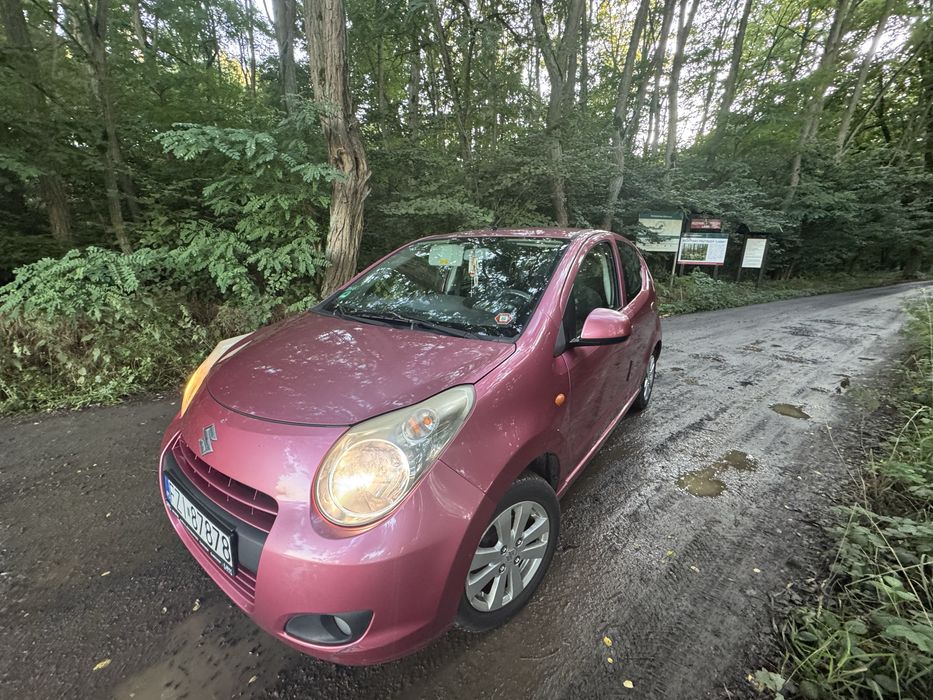 Suzuki Alto 2009, 1.0 benzyna różowy