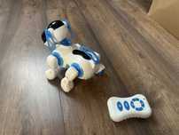 Piesek robot na pilota