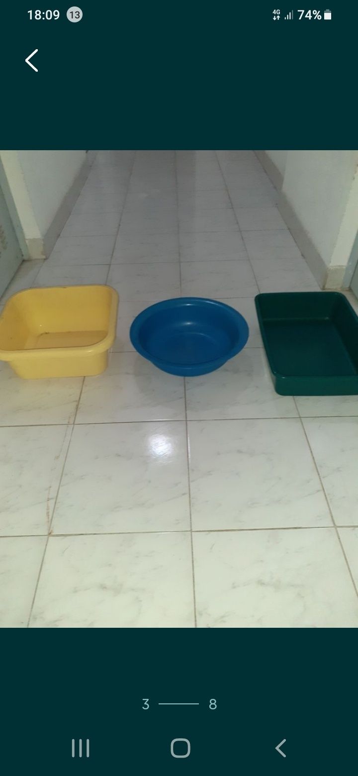 Tabuleiro para WC de gatos e vários alguidares em plástico*