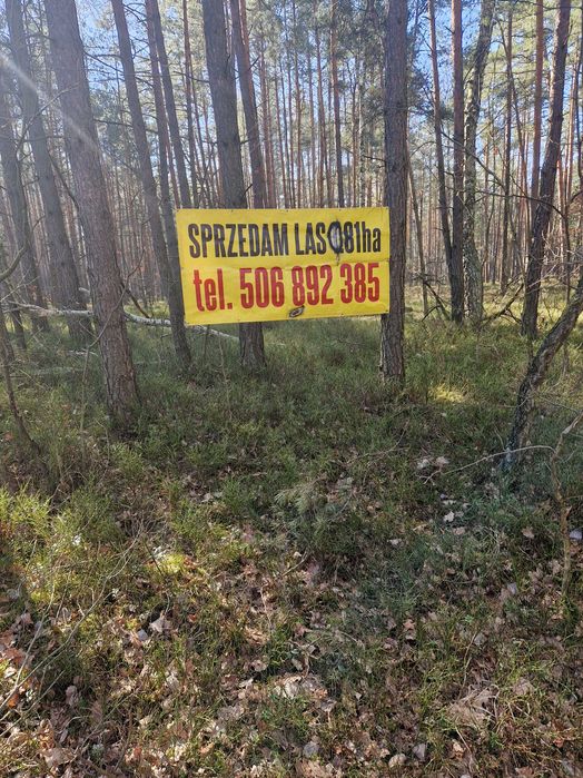 Działka (Warszawa 25minu) Dębe Wielkie