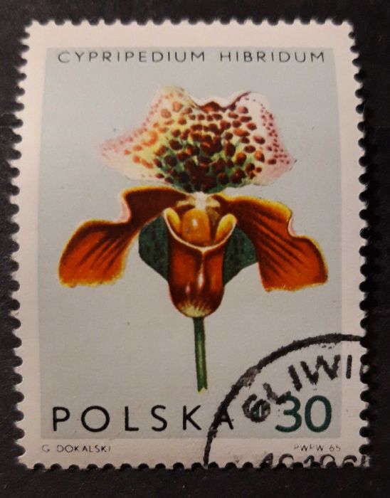 Znaczek pocztowy Storczyki, Fi 1464 z błędem. Kasowany.