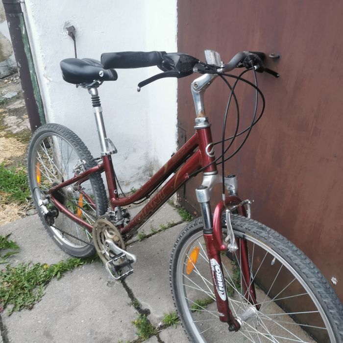 Rowery damskie Giant i Hasa