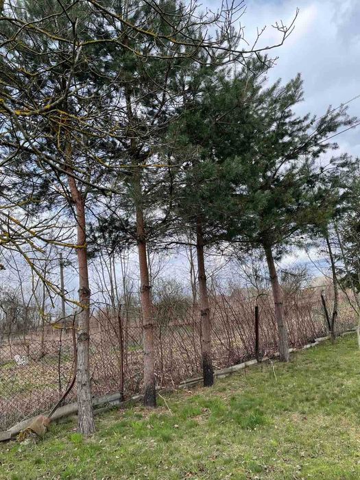 Продається земельна під будівництво (біля лікарні)