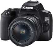 Aparat Fotograficzny Lustrzanka Canon EOS 250D EF-S 18-55 III Kit