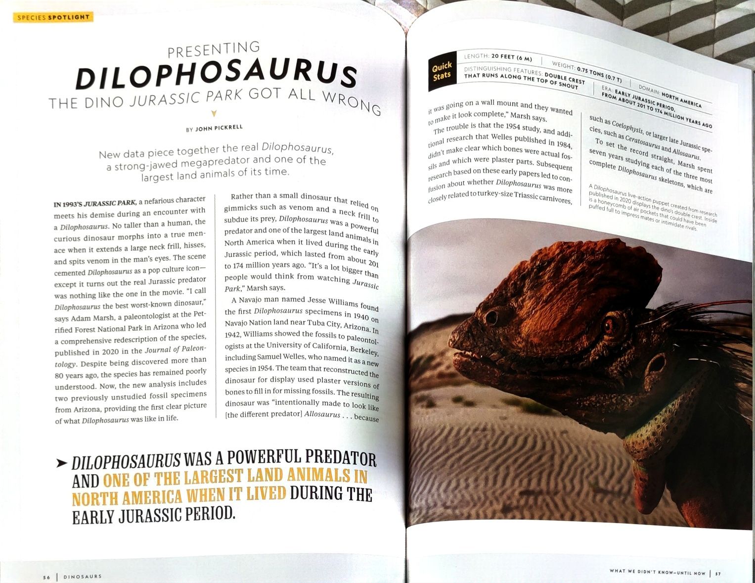 Magazyn Książka album National Geographic Dinozaury Ikony Prehistorii