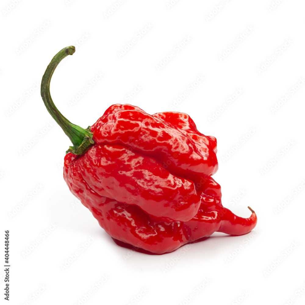 Carolina Reaper - Набор для проращивания самого острого перца в мире