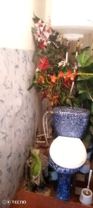 Комната Яворницткого р-н Цума