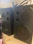 Monitores estudio M1Active MKII