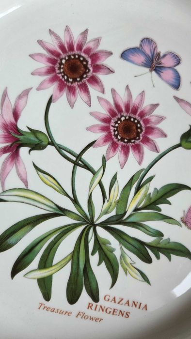 Колекційні форми Portmeirion Botanic garden, Англія 70-і роки