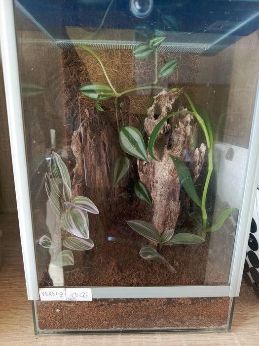 Terrarium sprzedam