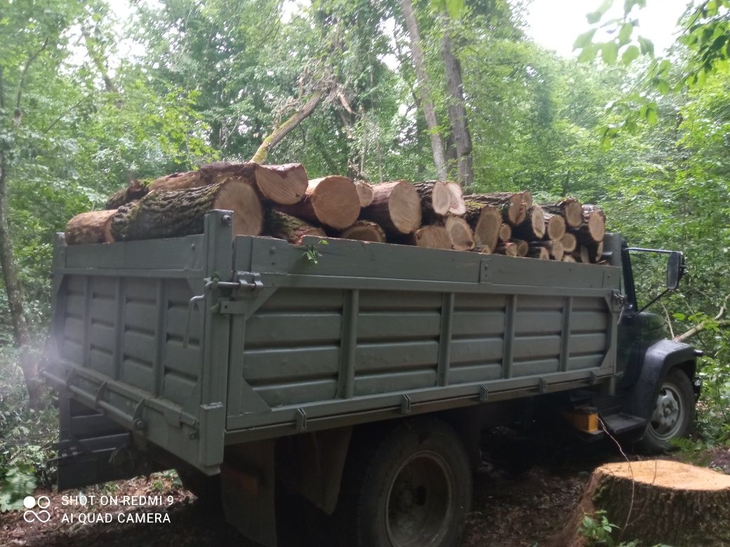 Продам дрова рубані дуб граб