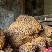 Orzechy włoskie 10 kg ekologiczne