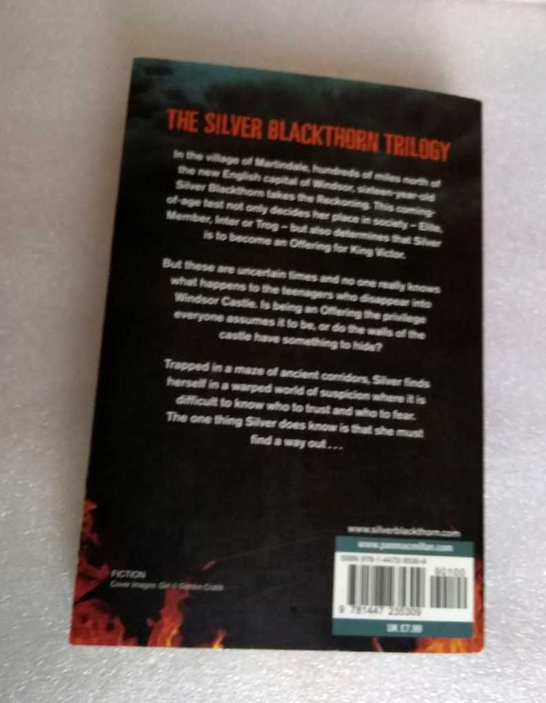 Reckoning (Silver Blackthorn Trilogy) by Kerry Wilkinson (англ. мов)