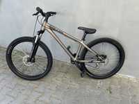 Rower Kellys Dirt Whip 10