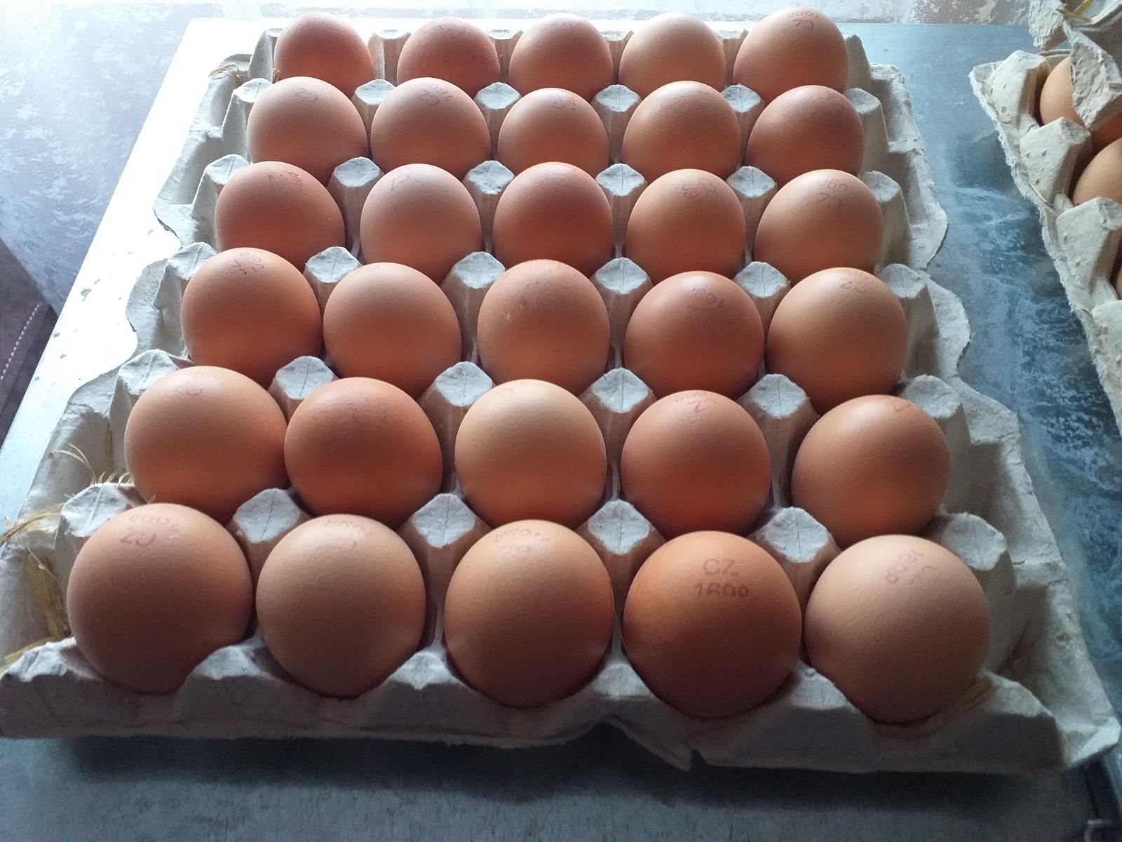 Реализуем инкубационное яйцо импорт и Украина мясо-яичные, несушки