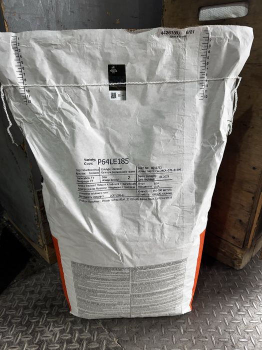 Насіння соняшнику Піонер P64LE185/Сінгента Суміко