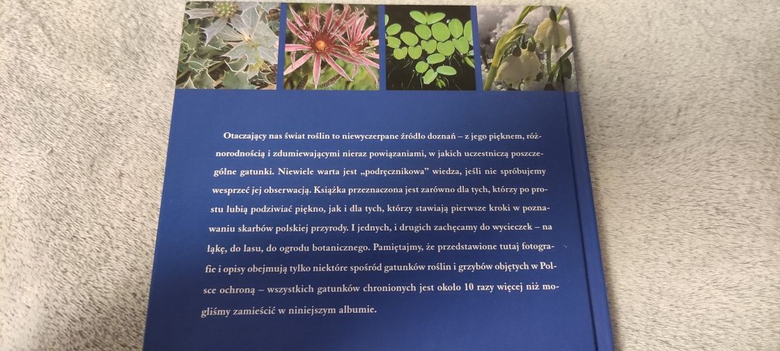 Rośliny chronione w Polsce Agnieszka Bilinska, Włodek Biliński