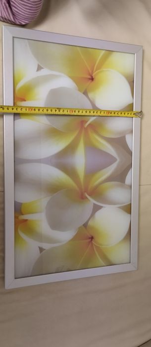 Фасадна триде дверка