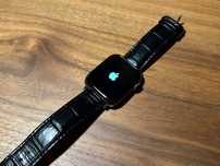 Apple Watch 7 stainless steel graphite 45 mm