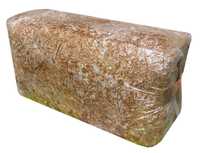 Boczniak Grzybnia - do 7kg grzyba Gotowe podłoże do uprawy Wysyłka
