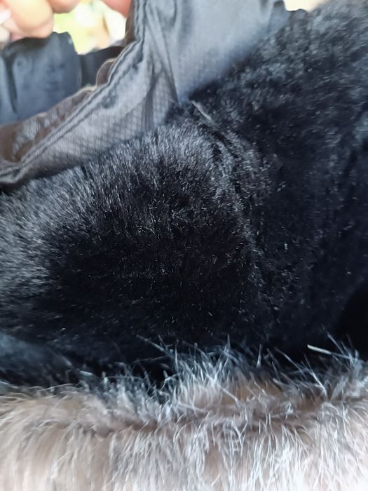 kispo, Americano 10 -11 anos