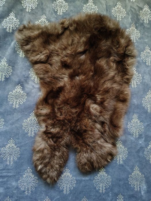 Skórka z królika prawdziwa