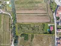 Moradia T3 - C/ terreno e piscina