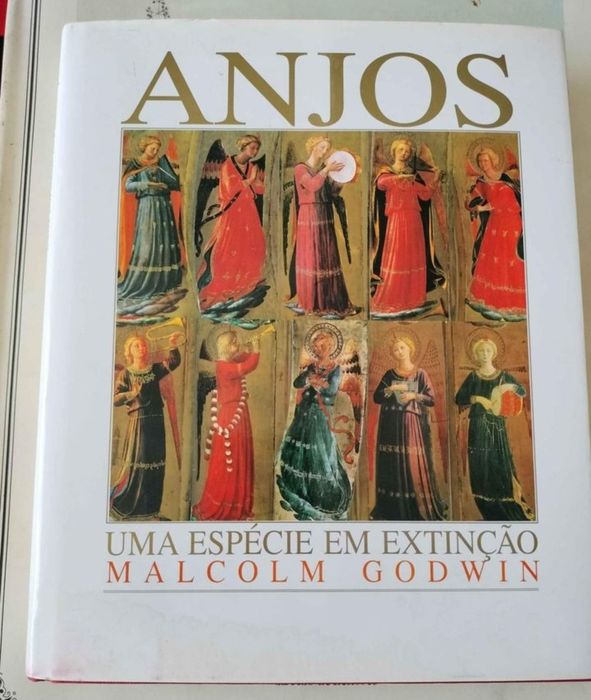 Livro Anjo pinturas