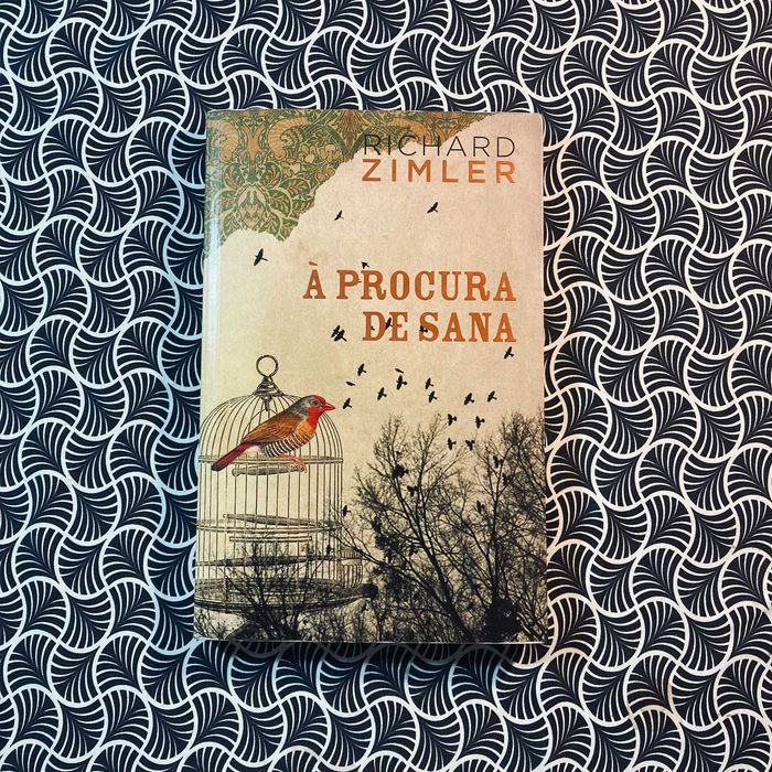 À Procura de Sana - Richard Zimler
