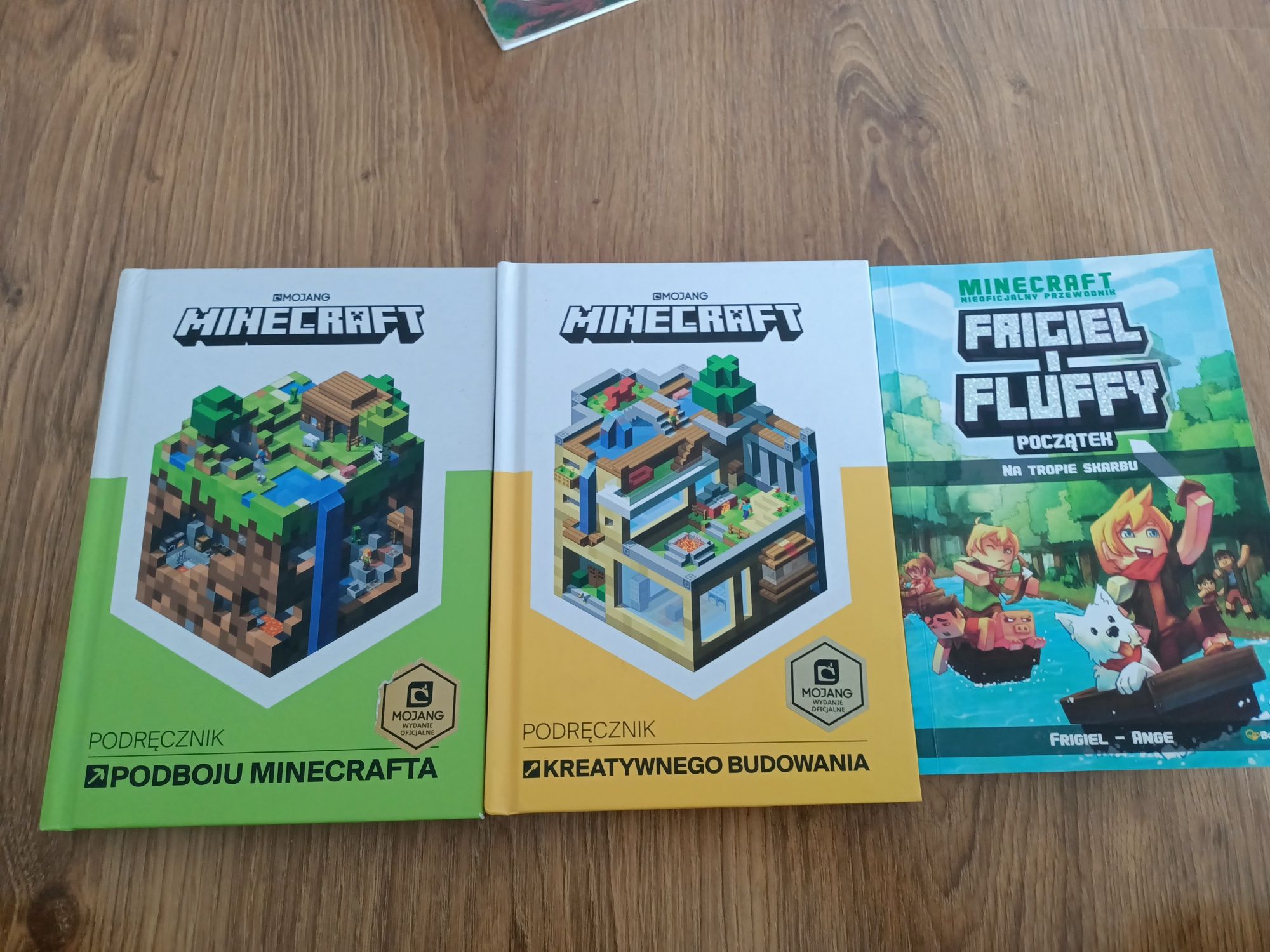 Książki Minecraft