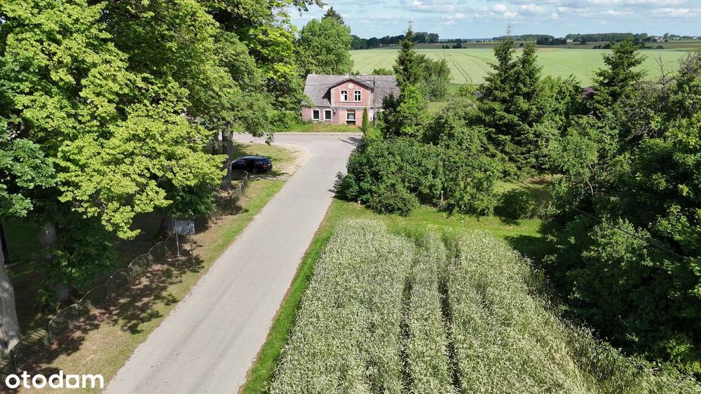 Przedwojenny dom do remontu