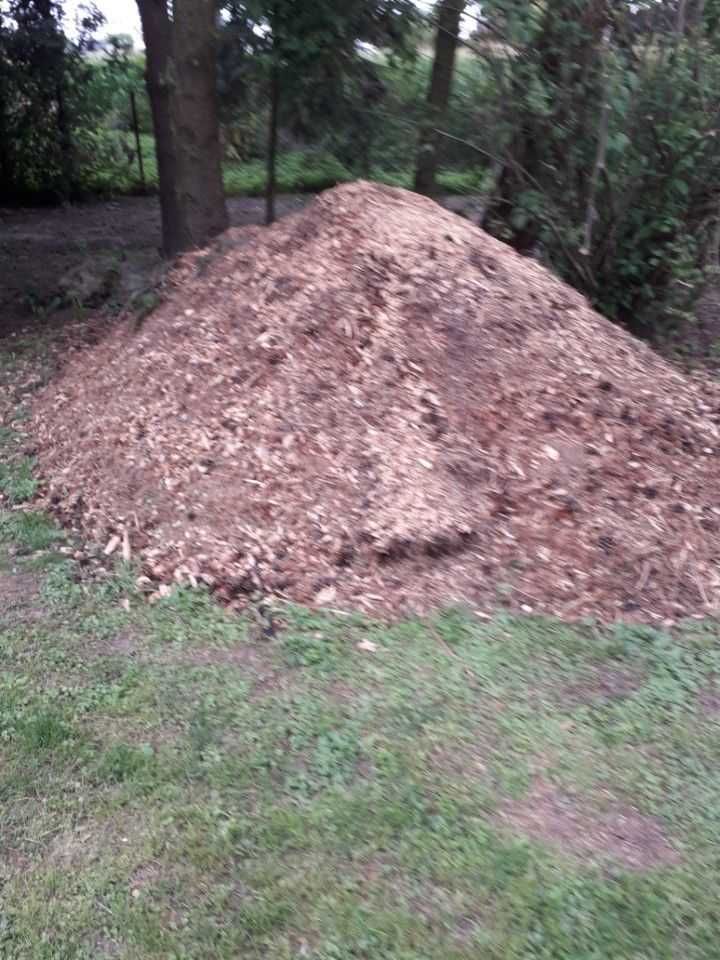 Oddam ZRĄBKE - za darmo!