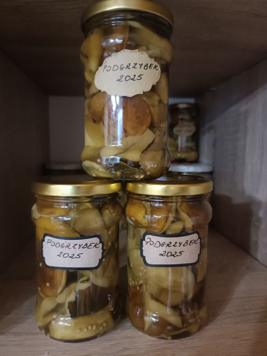 Podgrzybki marynowane zestaw 3x315ml