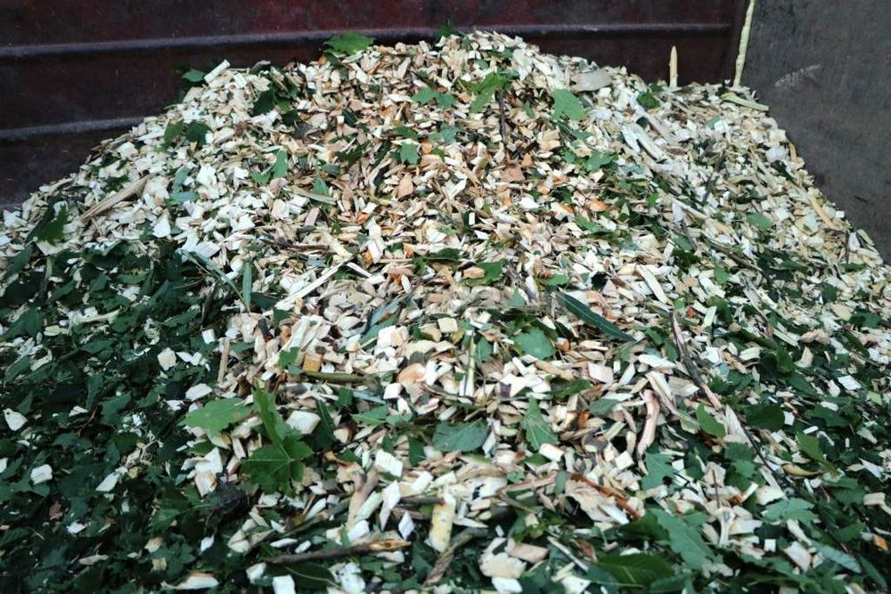 Щепоріз, дробілка, послуги подрібнення гілок