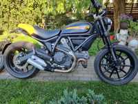 Ducati scrambler 800